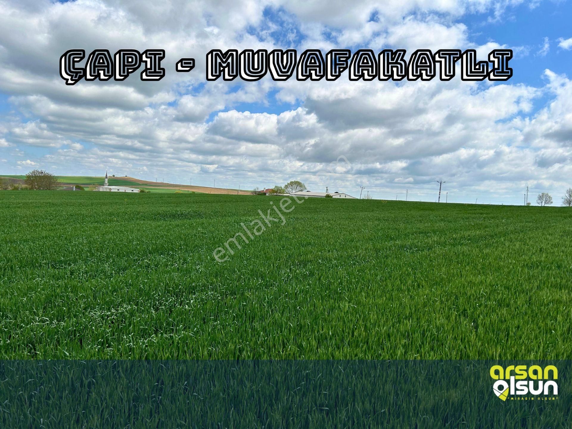 Süleymanpaşa Gündüzlü’de 250 M² Arsa | Köy İçinde • Ana Yola Yakın - Görsel 3