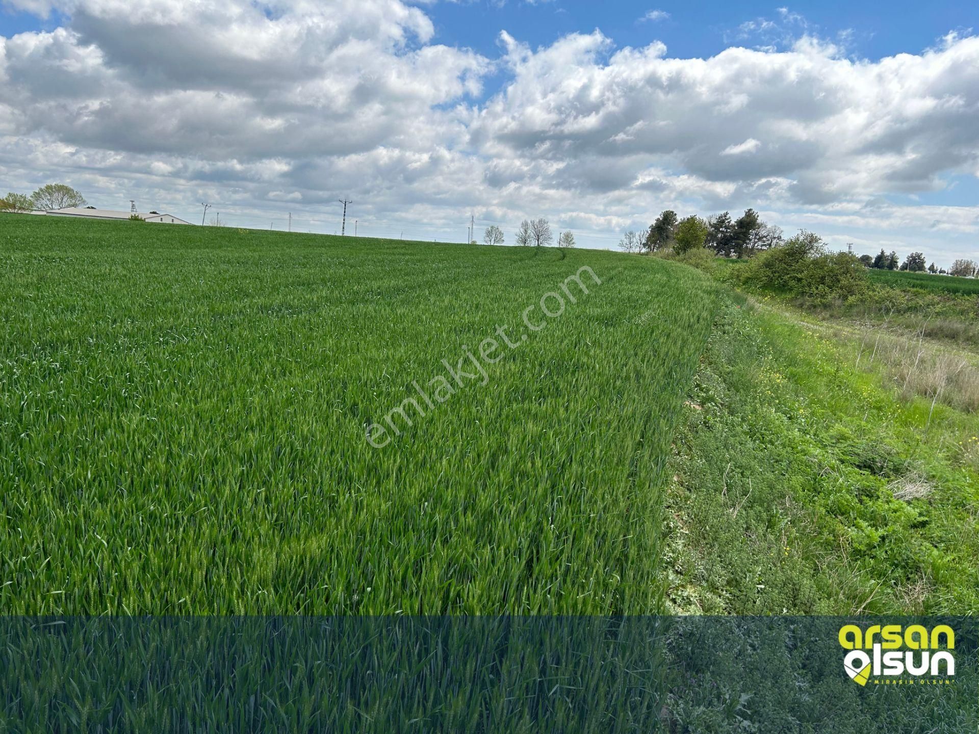 Süleymanpaşa Gündüzlü’de 250 M² Arsa | Köy İçinde • Ana Yola Yakın - Görsel 4