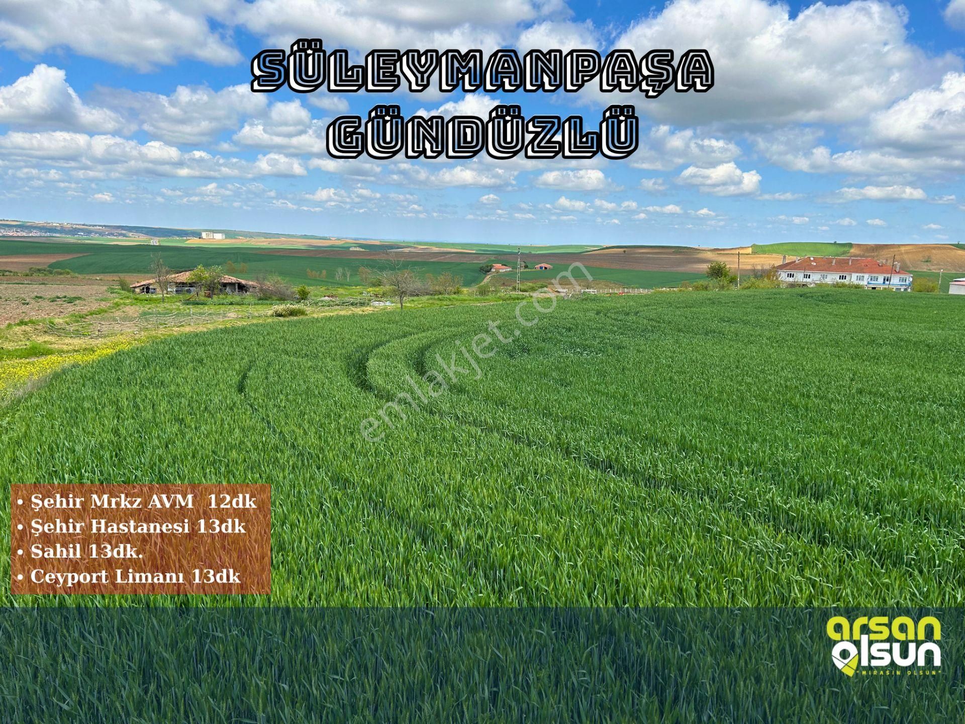 Süleymanpaşa Gündüzlü’de 250 M² Arsa | Köy İçinde • Ana Yola Yakın - Görsel 2