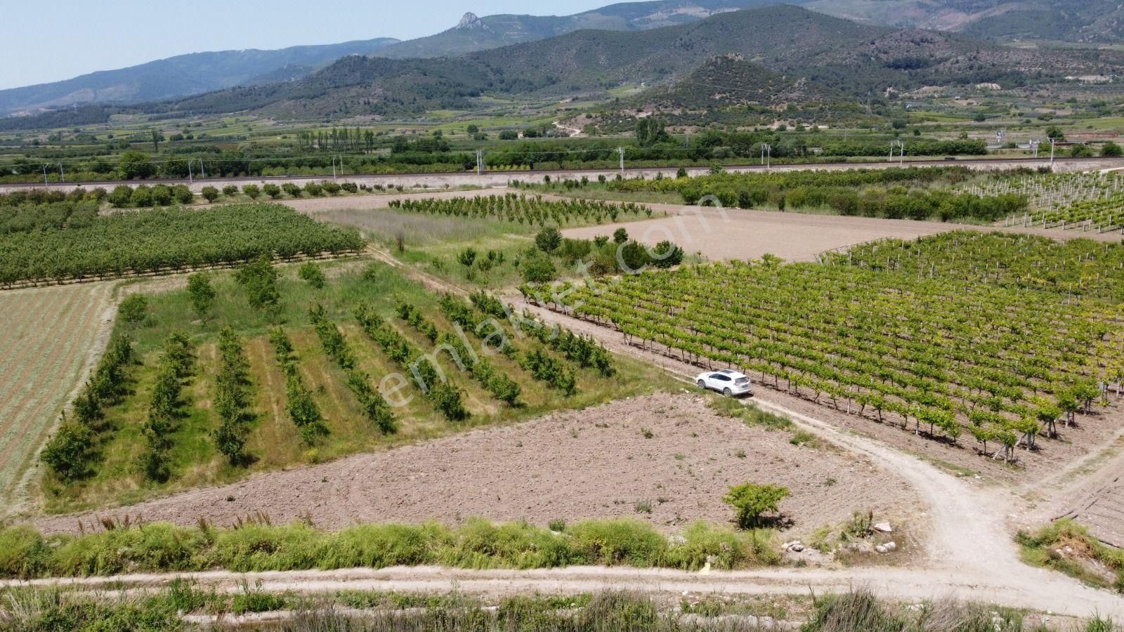 Sakarya Pamukova Satılık Emsalsiz Resmi Yolu Var Su Kanalı Var Köşe Parsel Köye Çok Yakın - Görsel 3