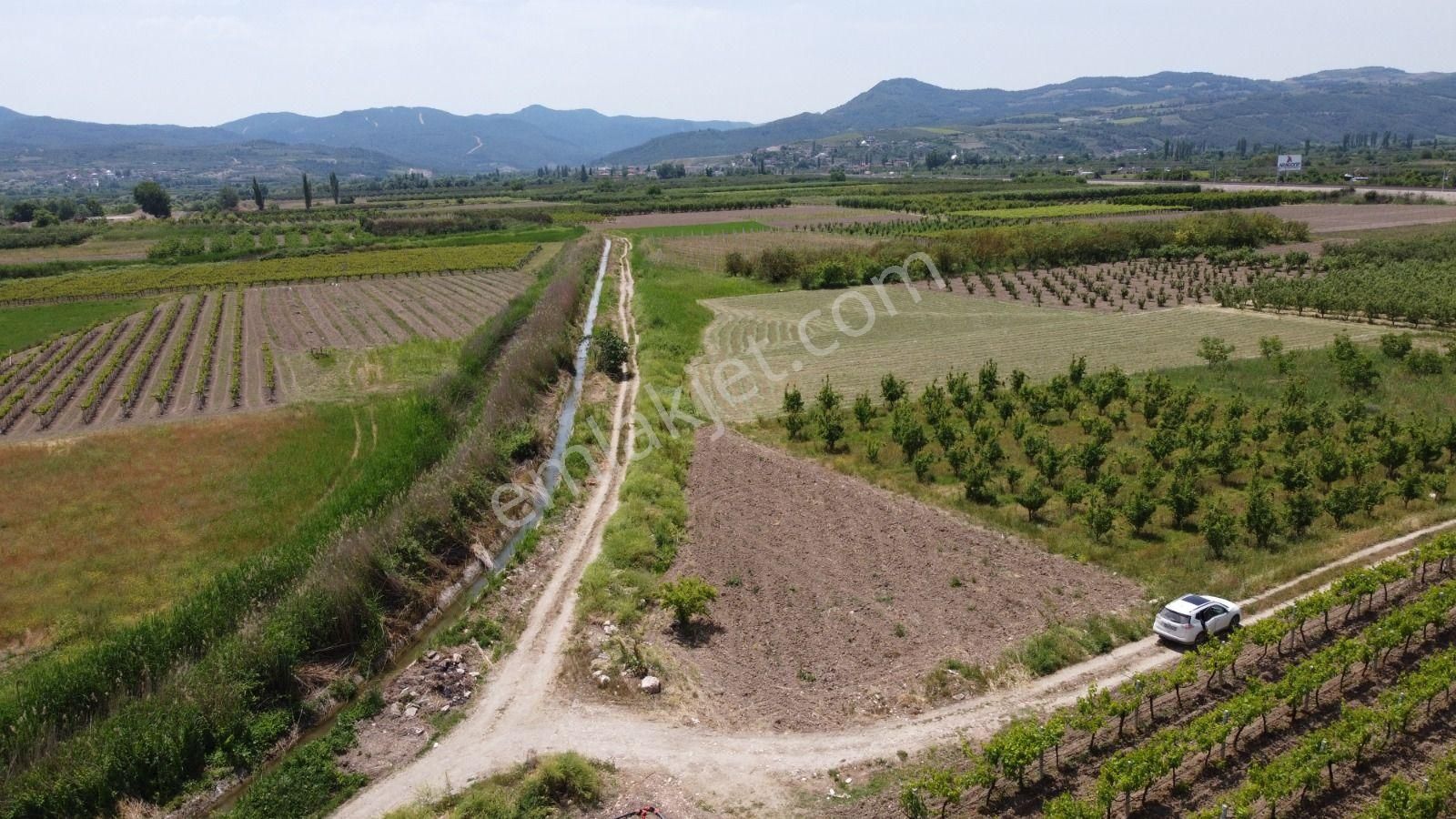 Sakarya Pamukova Satılık Emsalsiz Resmi Yolu Var Su Kanalı Var Köşe Parsel Köye Çok Yakın - Görsel 4