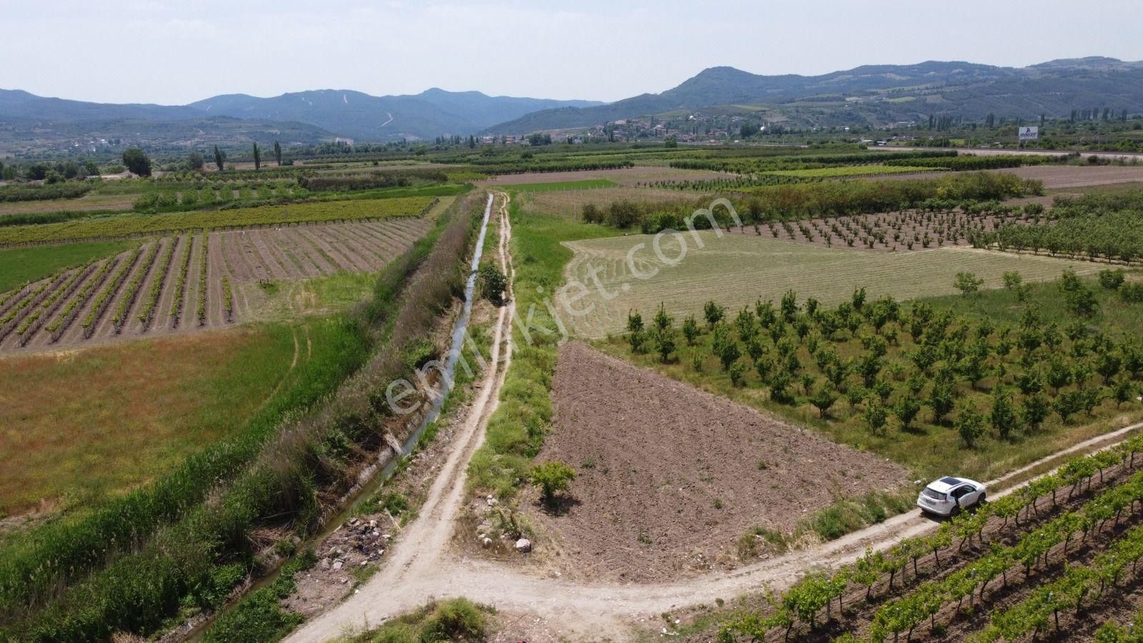 Sakarya Pamukova Satılık Emsalsiz Resmi Yolu Var Su Kanalı Var Köşe Parsel Köye Çok Yakın - Görsel 5