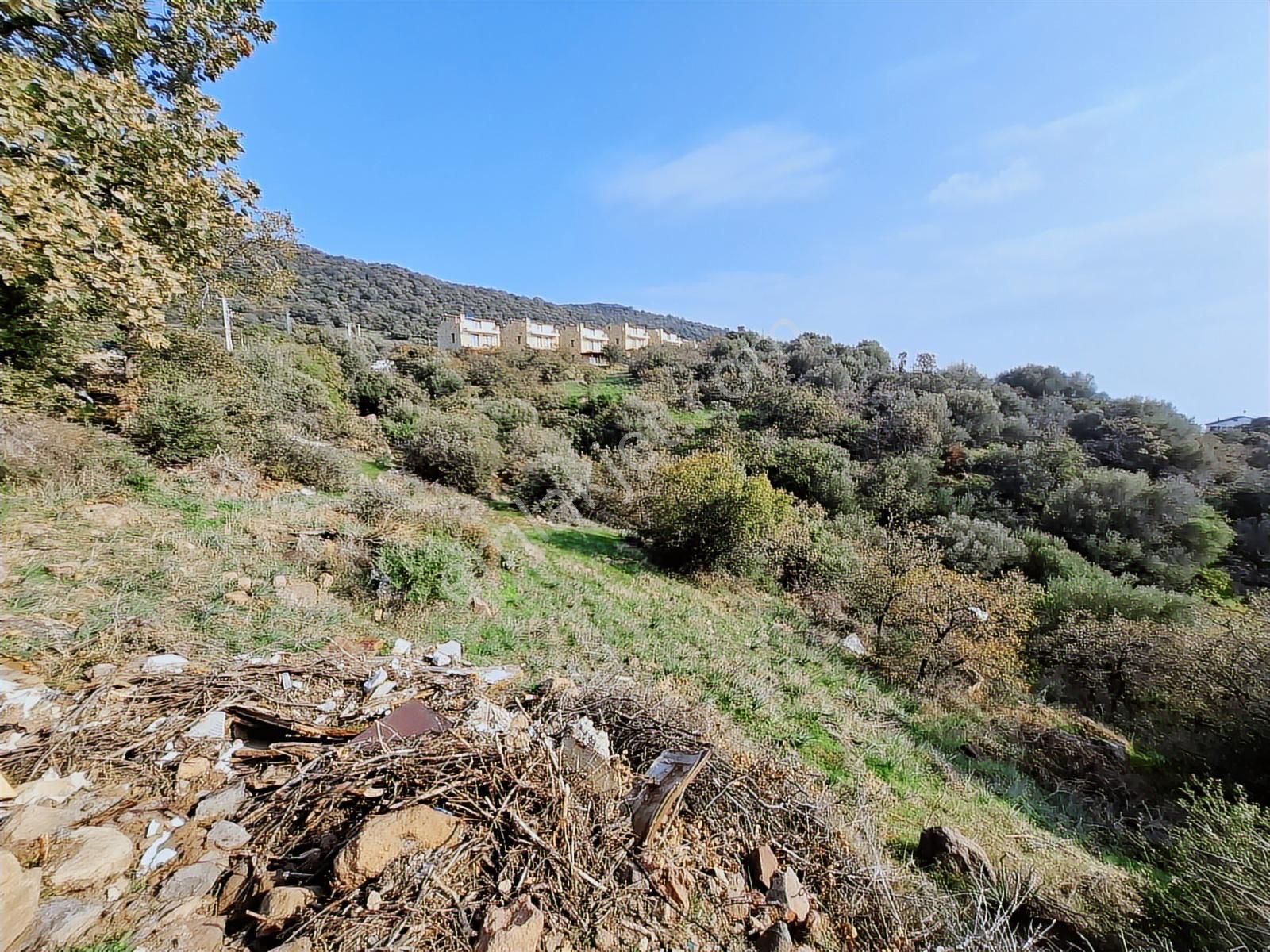 Çandarlı Bimeyko'da Villa İmarlı Arsa - Görsel 25