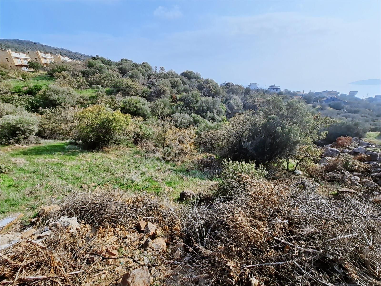 Çandarlı Bimeyko'da Villa İmarlı Arsa - Görsel 10