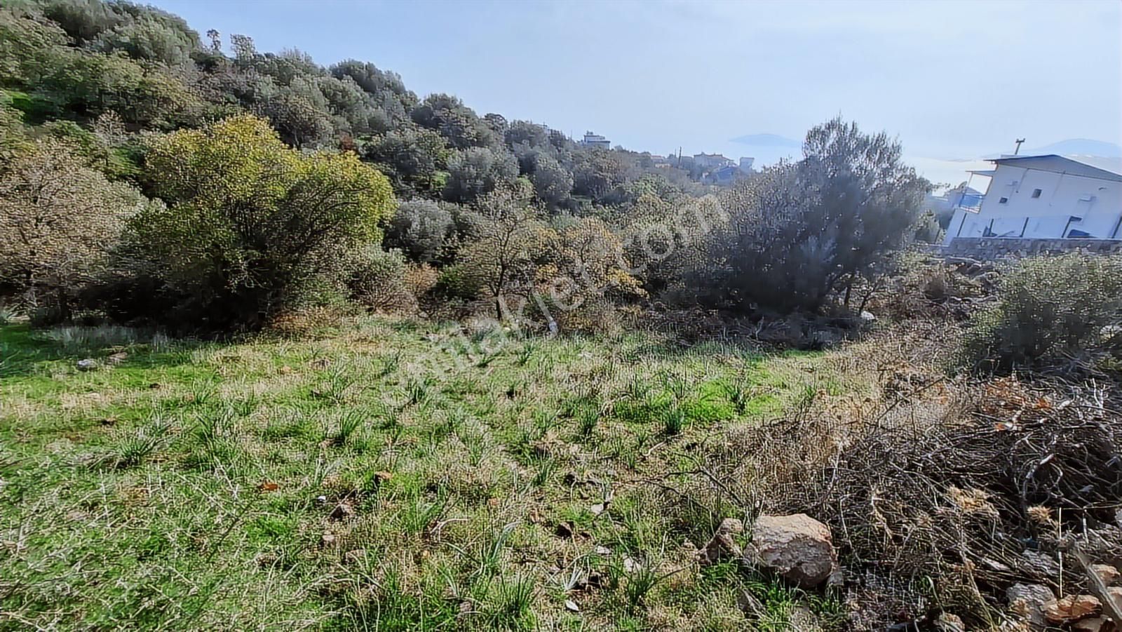Çandarlı Bimeyko'da Villa İmarlı Arsa - Görsel 32
