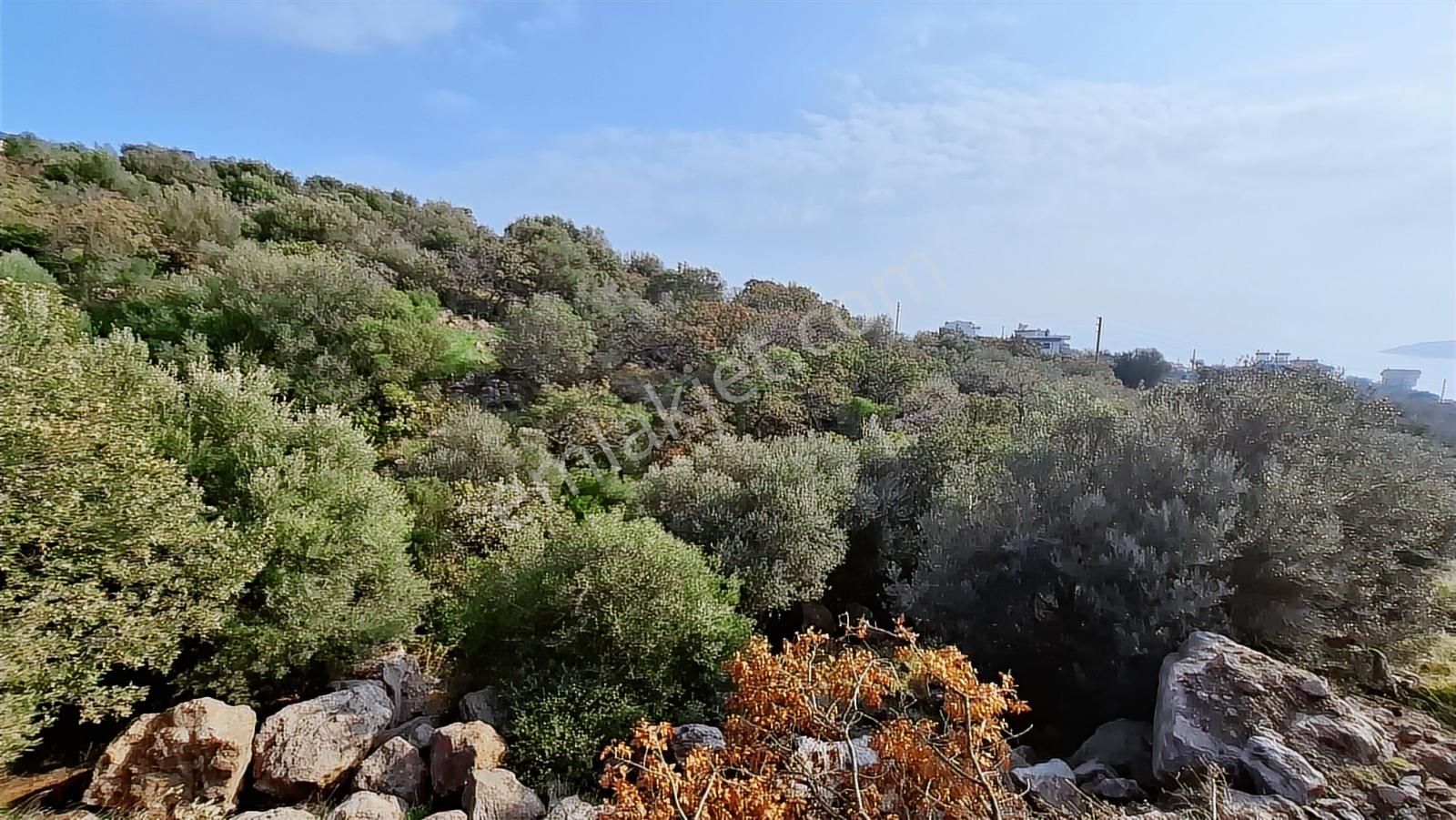 Çandarlı Bimeyko'da Villa İmarlı Arsa - Görsel 19
