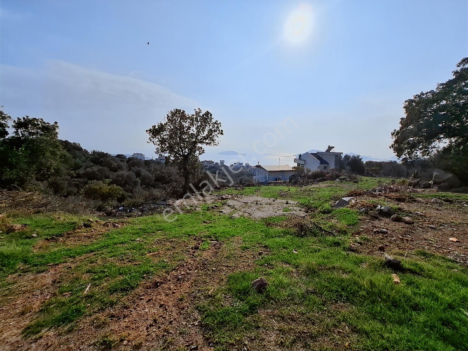 Çandarlı Bimeyko'da Villa İmarlı Arsa - Görsel 7