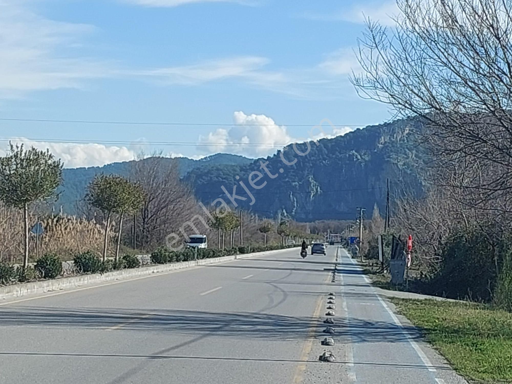 Muğla Ortaca Dalyanda Anayola Sıfır Konumda 550 M2 %15 - 30 Konut İmarlı Arsa Satılık. - Görsel 3