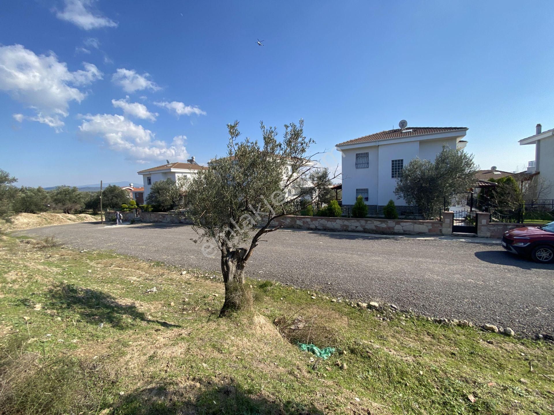 Balıkesir Ayvalık Sarımsaklı Da Satılık 4,600 Metre Kare Arsa - Görsel 9