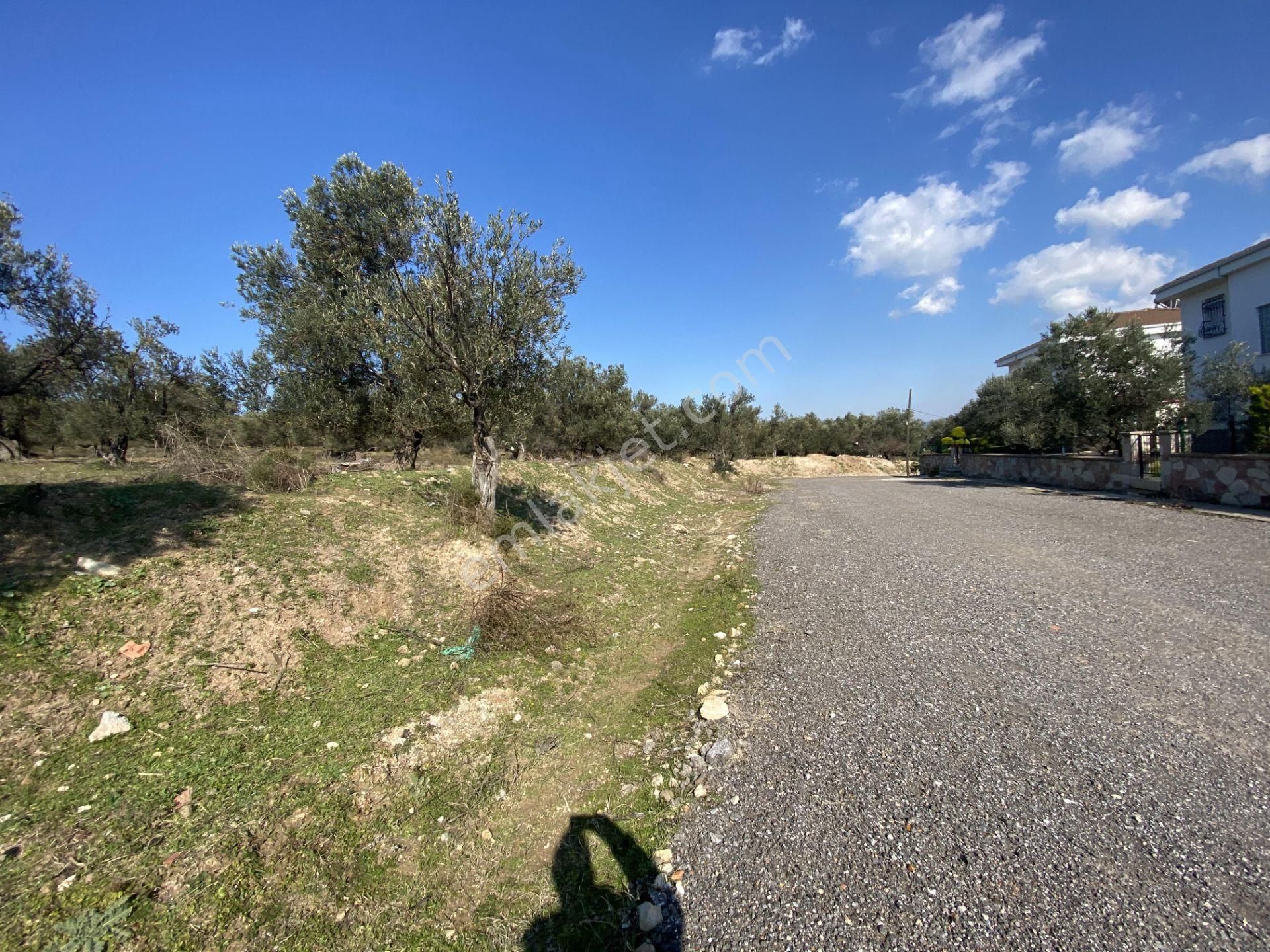 Balıkesir Ayvalık Sarımsaklı Da Satılık 4,600 Metre Kare Arsa - Görsel 7