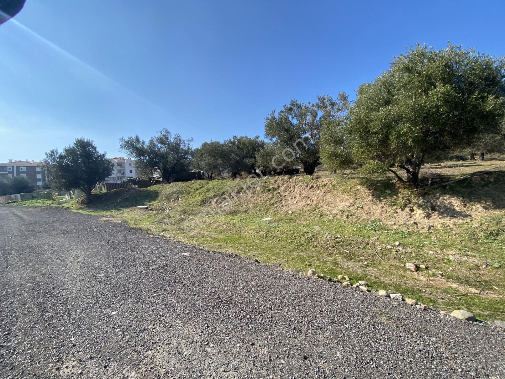 Balıkesir Ayvalık Sarımsaklı Da Satılık 4,600 Metre Kare Arsa - Görsel 5