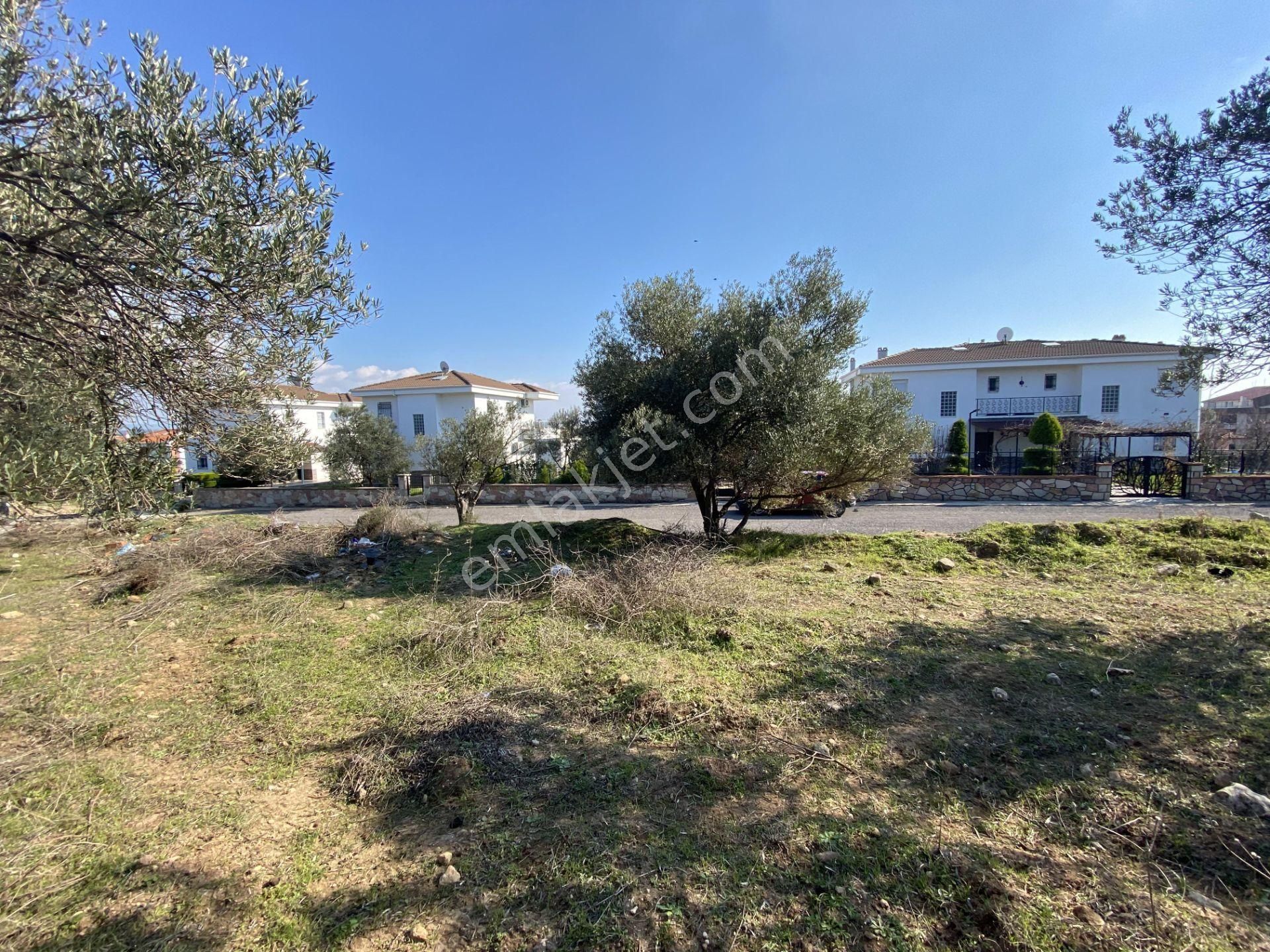 Balıkesir Ayvalık Sarımsaklı Da Satılık 4,600 Metre Kare Arsa - Görsel 10