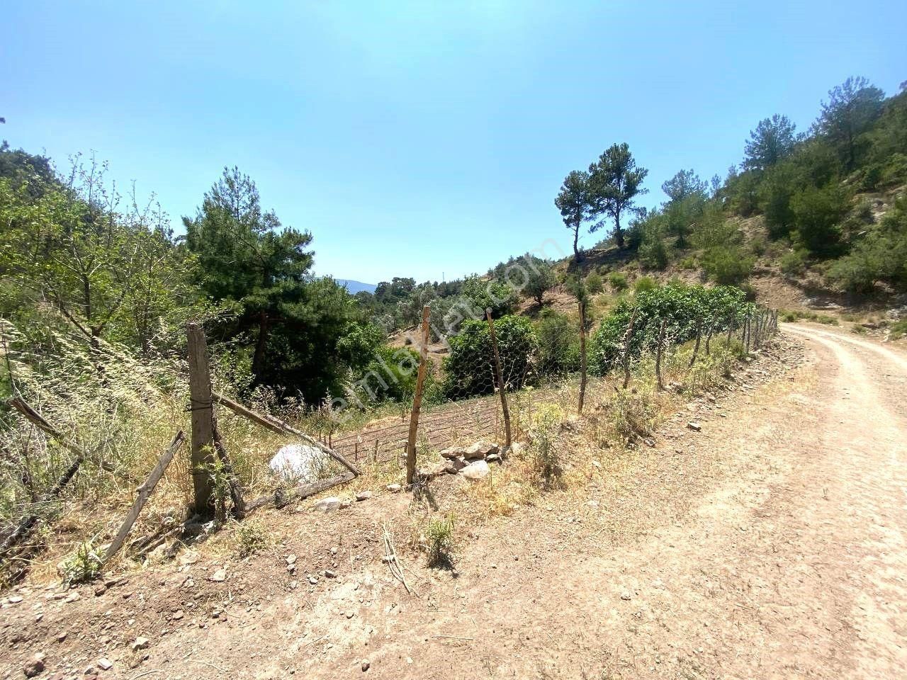 Aktif'ten Burhaniye Çamtepe'de Suyu Olan 414m2 Satılık Bahçe🟥 - Görsel 15