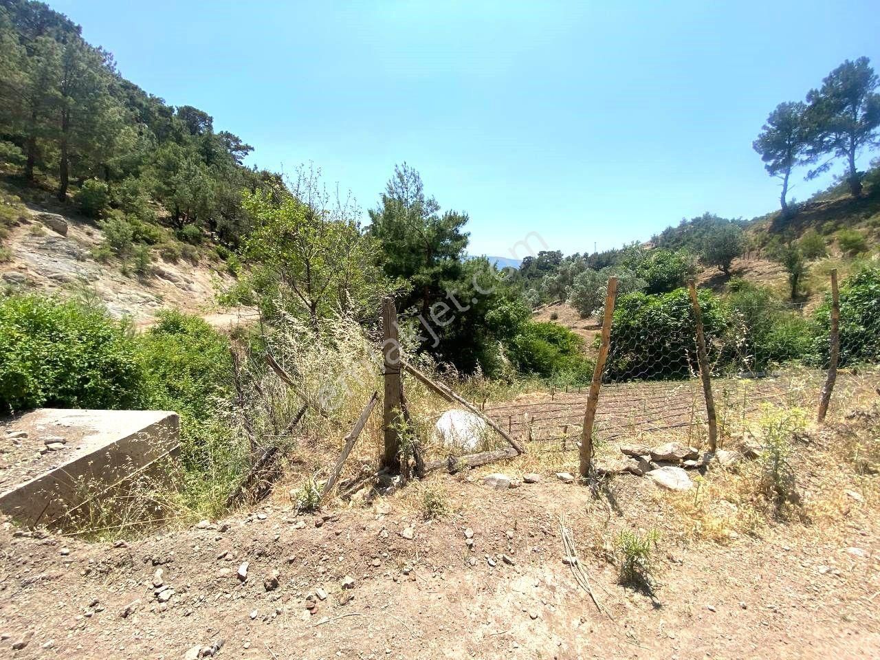 Aktif'ten Burhaniye Çamtepe'de Suyu Olan 414m2 Satılık Bahçe🟥 - Görsel 17