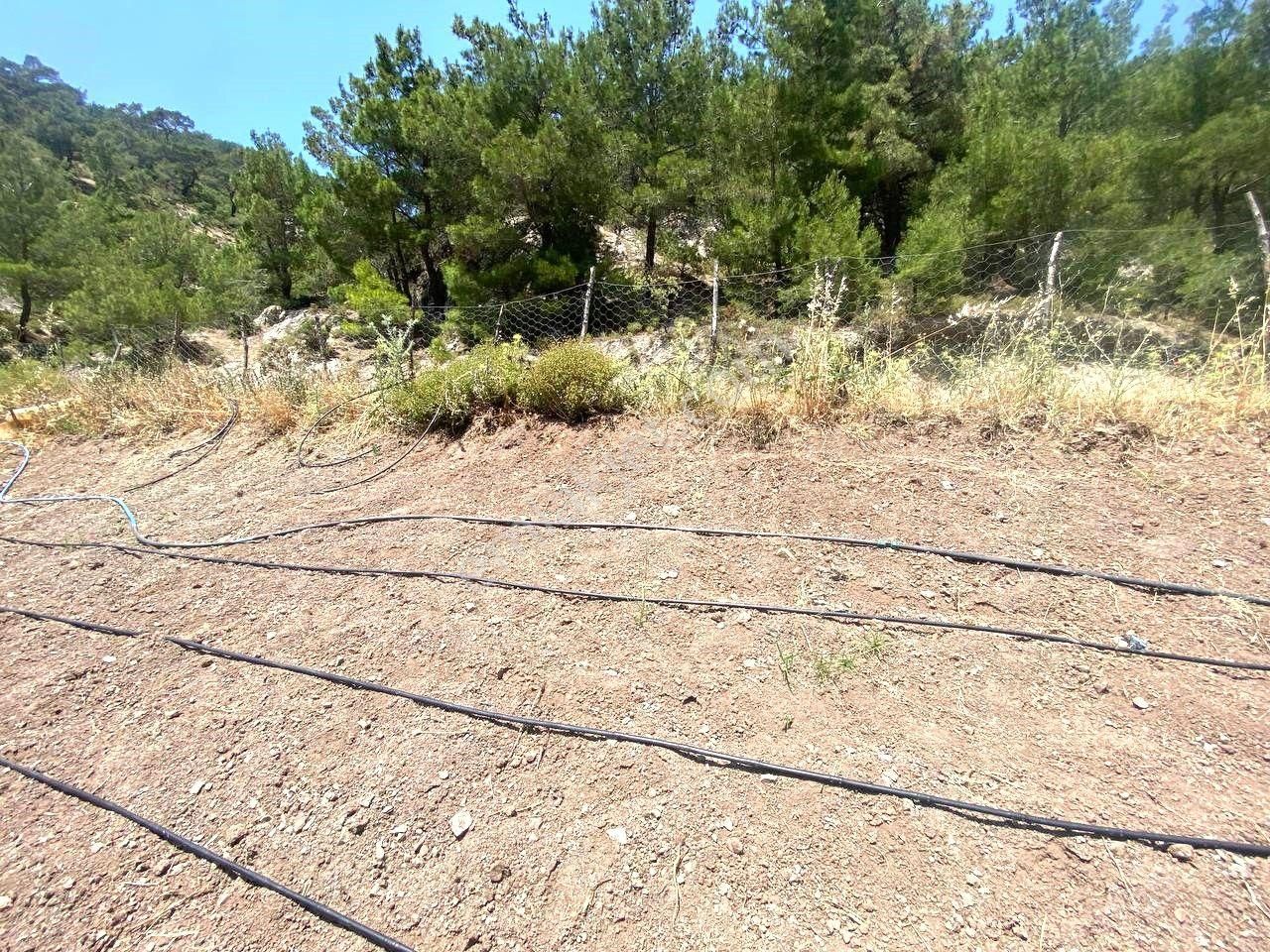 Aktif'ten Burhaniye Çamtepe'de Suyu Olan 414m2 Satılık Bahçe🟥 - Görsel 29