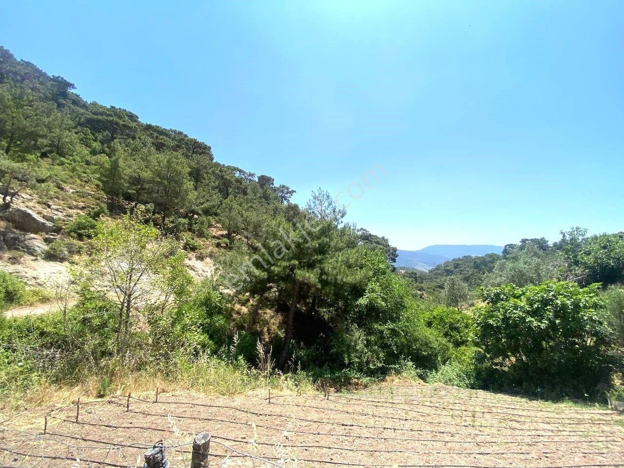 Aktif'ten Burhaniye Çamtepe'de Suyu Olan 414m2 Satılık Bahçe🟥 - Görsel 8