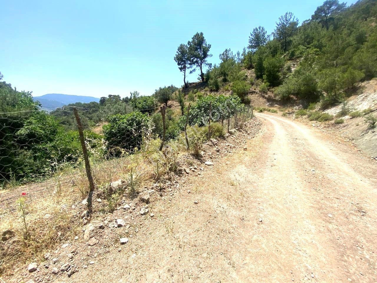 Aktif'ten Burhaniye Çamtepe'de Suyu Olan 414m2 Satılık Bahçe🟥 - Görsel 3