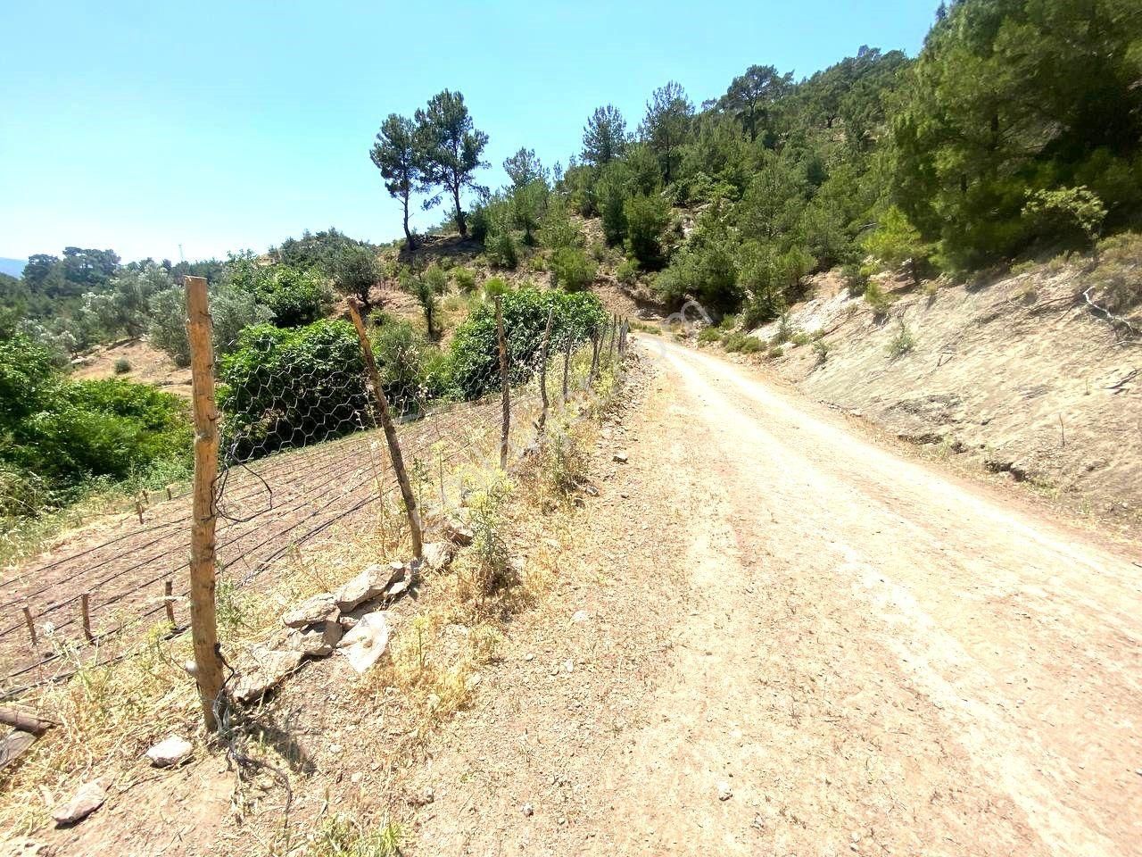 Aktif'ten Burhaniye Çamtepe'de Suyu Olan 414m2 Satılık Bahçe🟥 - Görsel 19