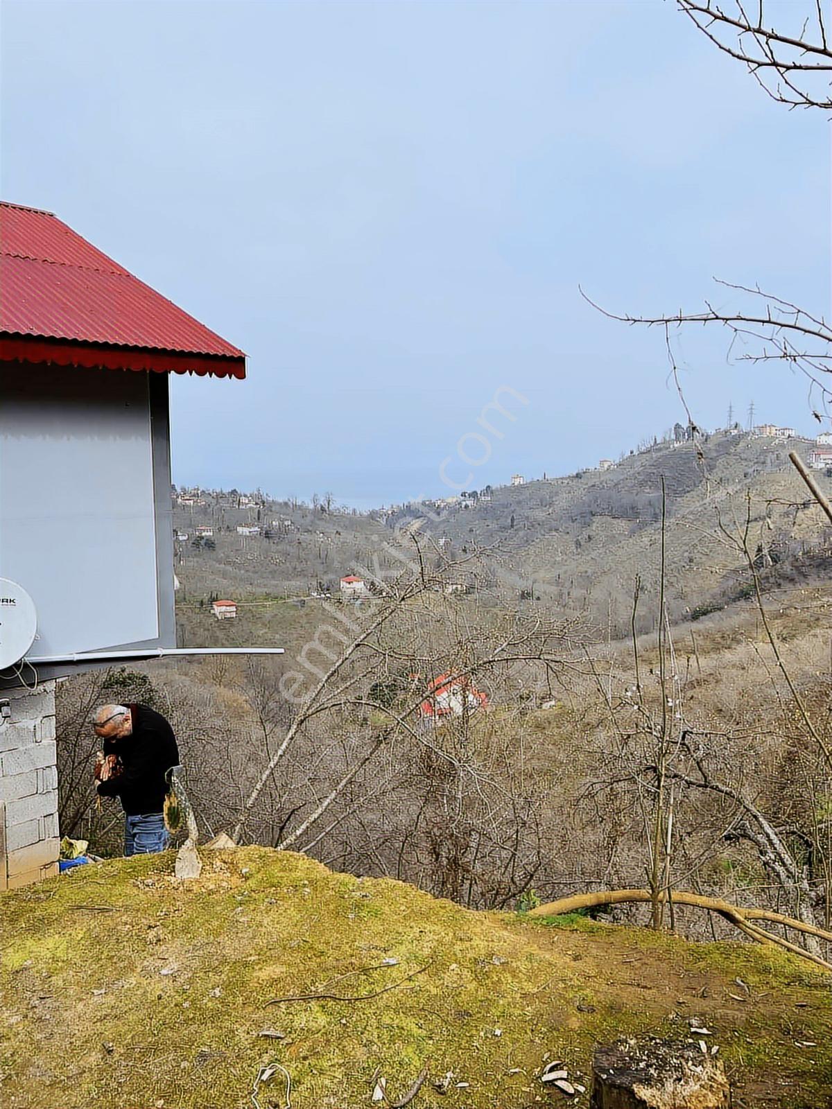 Gökdemir Gayrimenkulden Satılık Fındık Bahcesi - Görsel 26