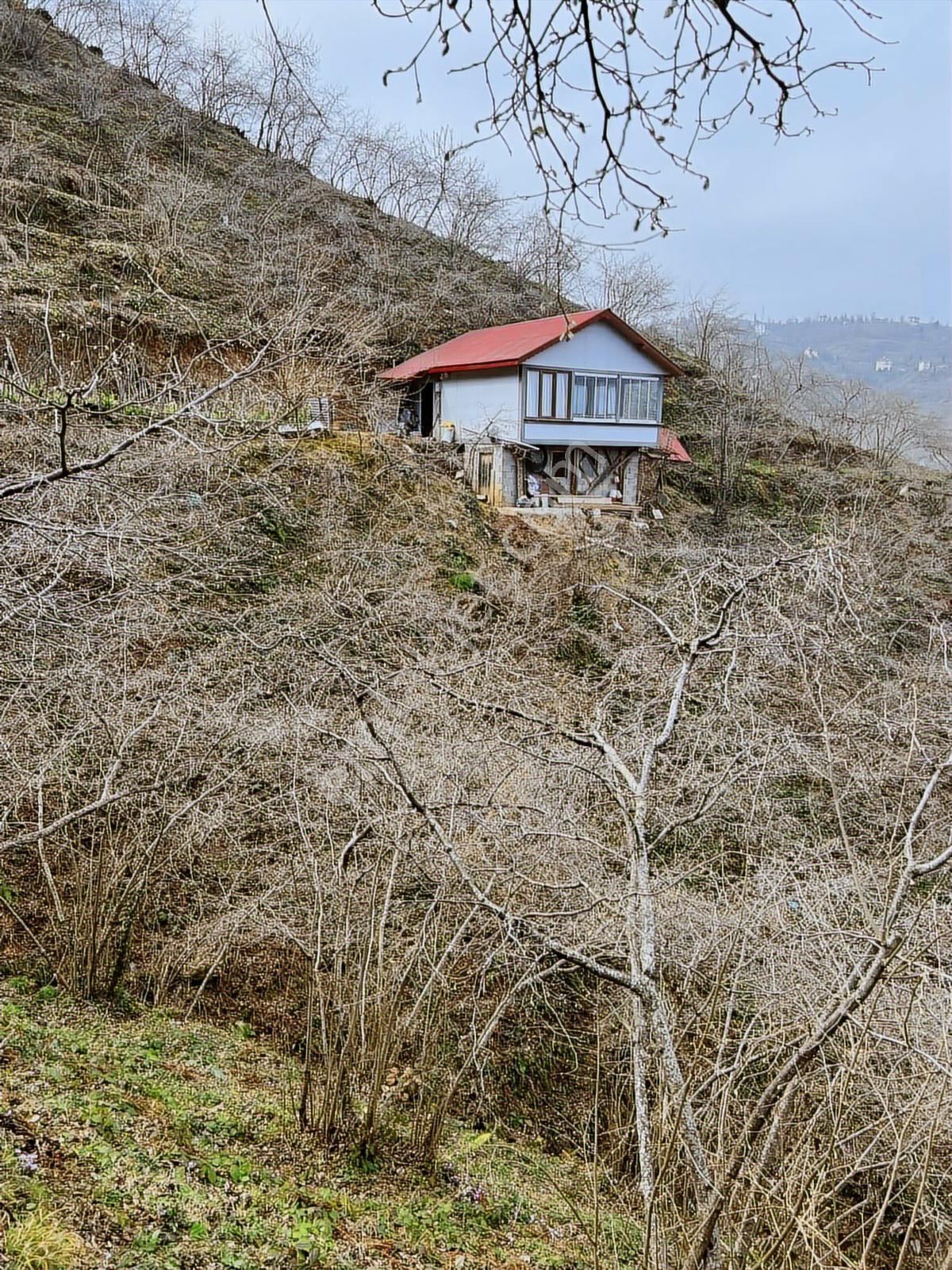 Gökdemir Gayrimenkulden Satılık Fındık Bahcesi