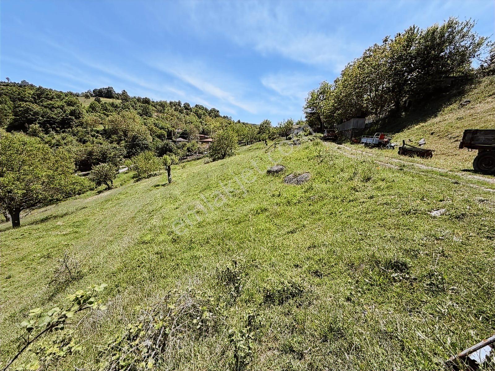 Karamürsel Kadriye Köyünde Köy Dibi, Havadar 337 M2 İmarlı Arsa - Görsel 12