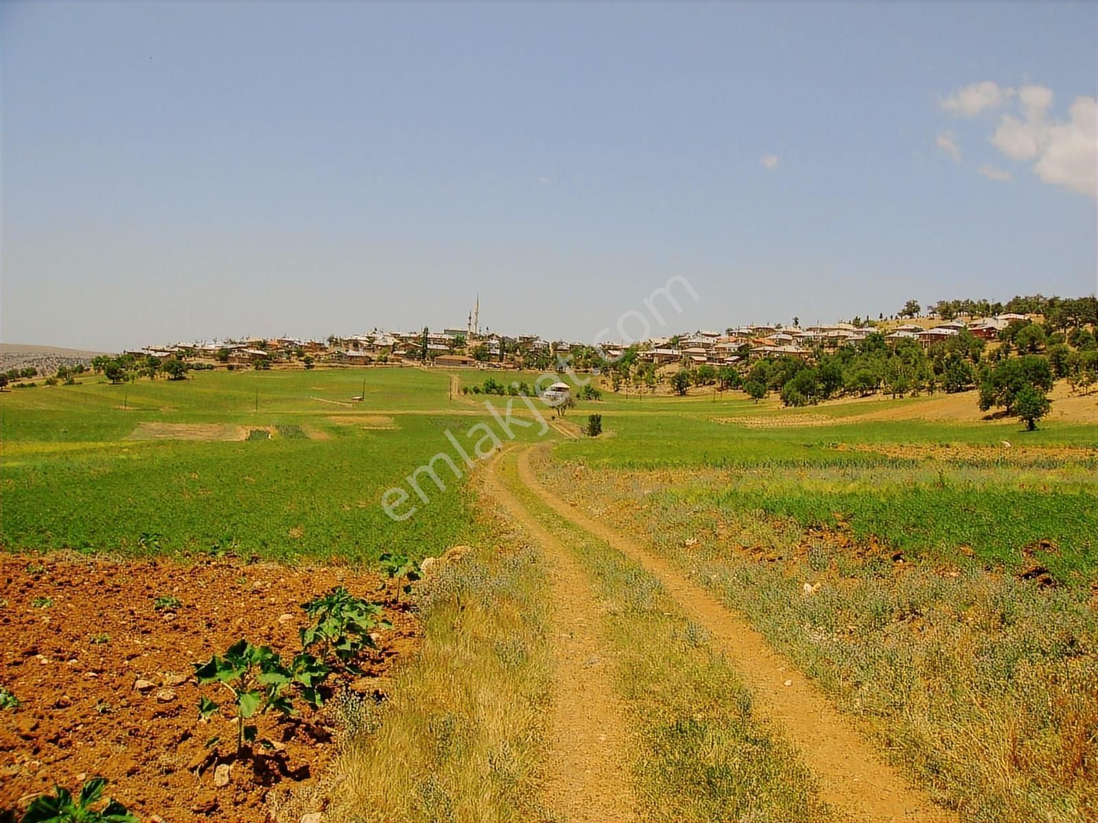 Bozkır Köyünde Yol Cepheli 800 M2 Satılık Erik Ve Elma Bahçesi - Görsel 9