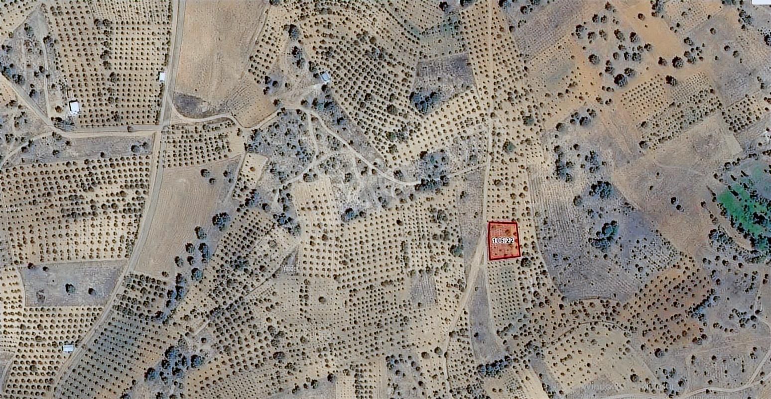 Bozkır Köyünde Yol Cepheli 800 M2 Satılık Erik Ve Elma Bahçesi - Görsel 5
