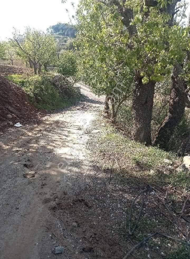 Buldan Yayla Da 850 M2 Ev Yapilabilir Bahve - Görsel 3