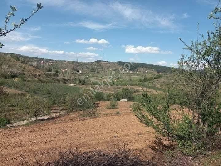 Buldan Yayla Da 850 M2 Ev Yapilabilir Bahve