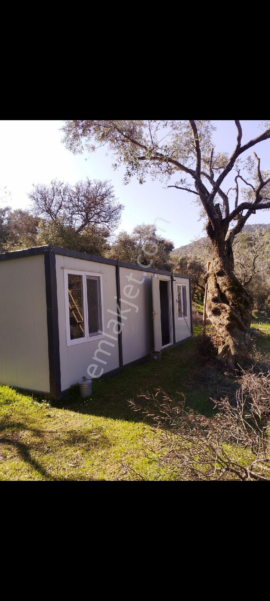 İzmir Bayındır Çenikler Mh Asfalt Yola Cepheli Tek Tapu Satılık Zeytinlik Konteyner Yeni Köy Yanı