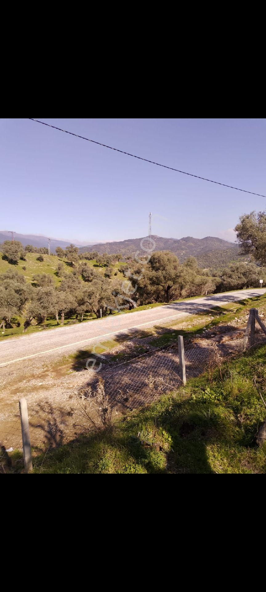 İzmir Bayındır Çenikler Mh Asfalt Yola Cepheli Tek Tapu Satılık Zeytinlik Konteyner Yeni Köy Yanı - Görsel 11