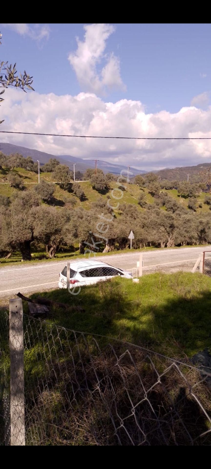 İzmir Bayındır Çenikler Mh Asfalt Yola Cepheli Tek Tapu Satılık Zeytinlik Konteyner Yeni Köy Yanı - Görsel 19