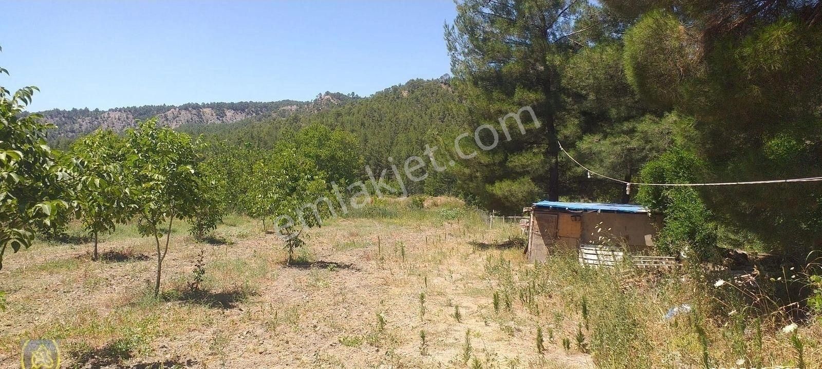 Eysu Karaca'dan Çameli De Satılık 9.888 Metre Satılık Tarla..