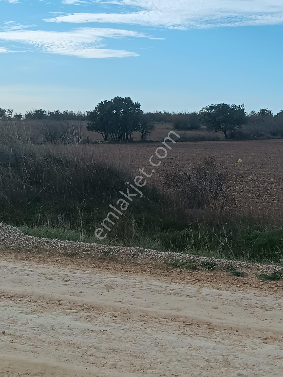 Newcıty Emlaktan Yündalanda Yola Cepheli Satılık Tarla 10.450 M2 - Görsel 10