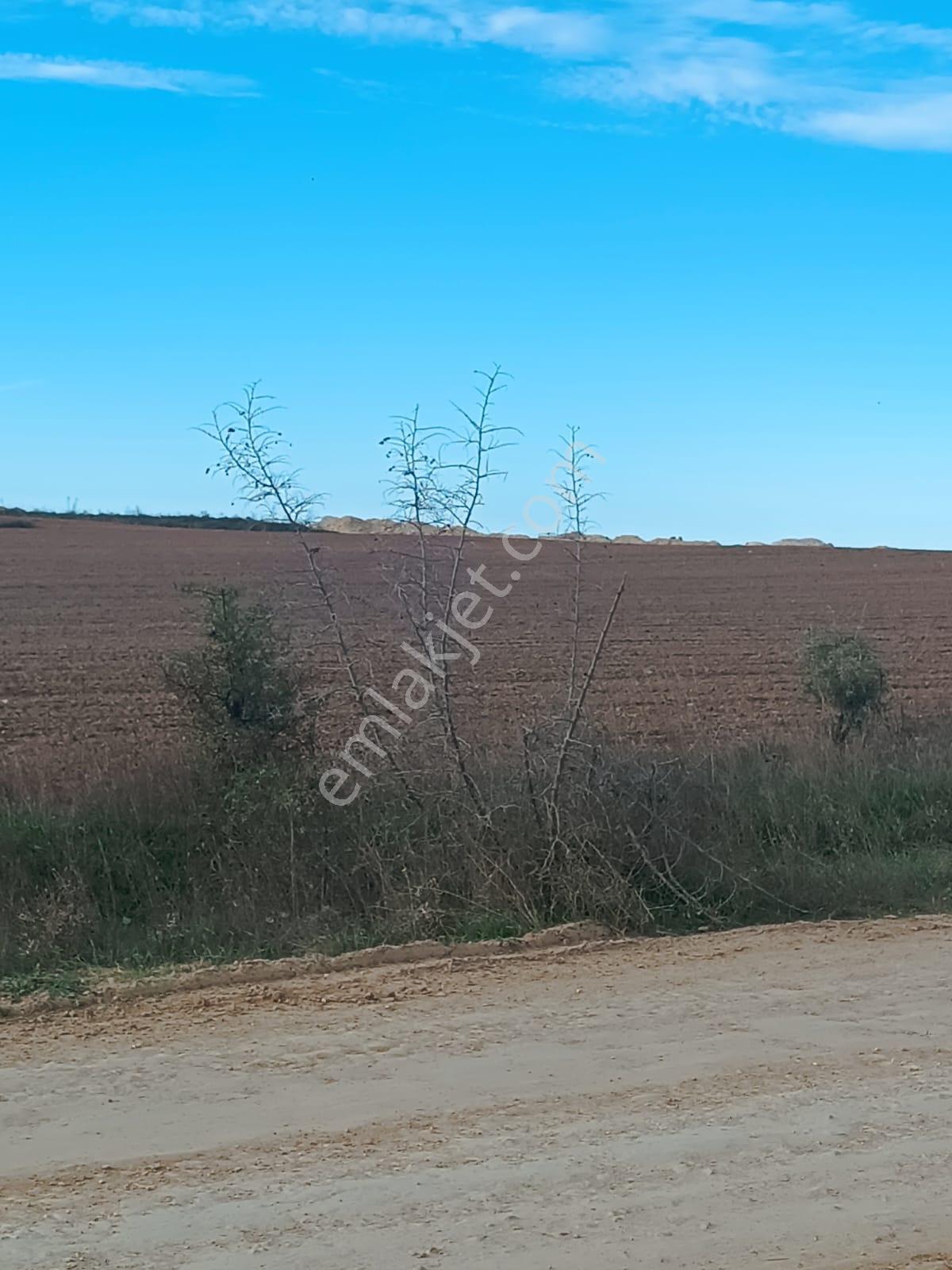 Newcıty Emlaktan Yündalanda Yola Cepheli Satılık Tarla 10.450 M2 - Görsel 28