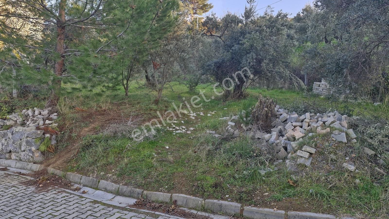 Novastan Aşağıkızılcada Köye Yakın Tek Tapu 1500m² Satılık Arazi - Görsel 8