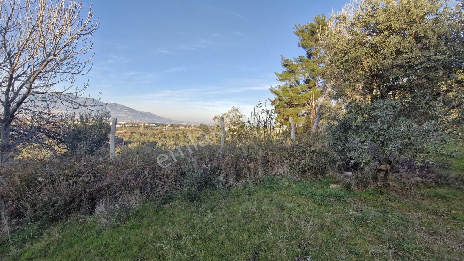 Novastan Aşağıkızılcada Köye Yakın Tek Tapu 1500m² Satılık Arazi - Görsel 6