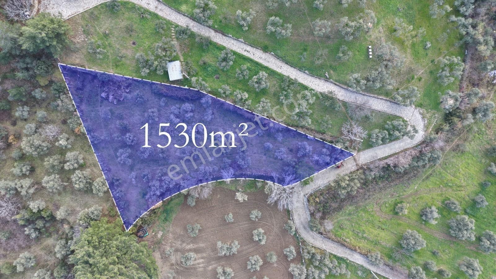 Novastan Aşağıkızılcada Köye Yakın Tek Tapu 1500m² Satılık Arazi - Görsel 6