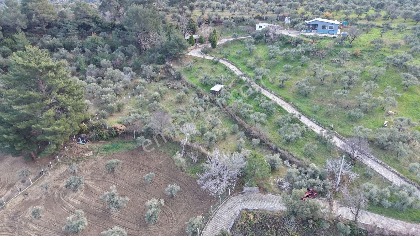 Novastan Aşağıkızılcada Köye Yakın Tek Tapu 1500m² Satılık Arazi - Görsel 10