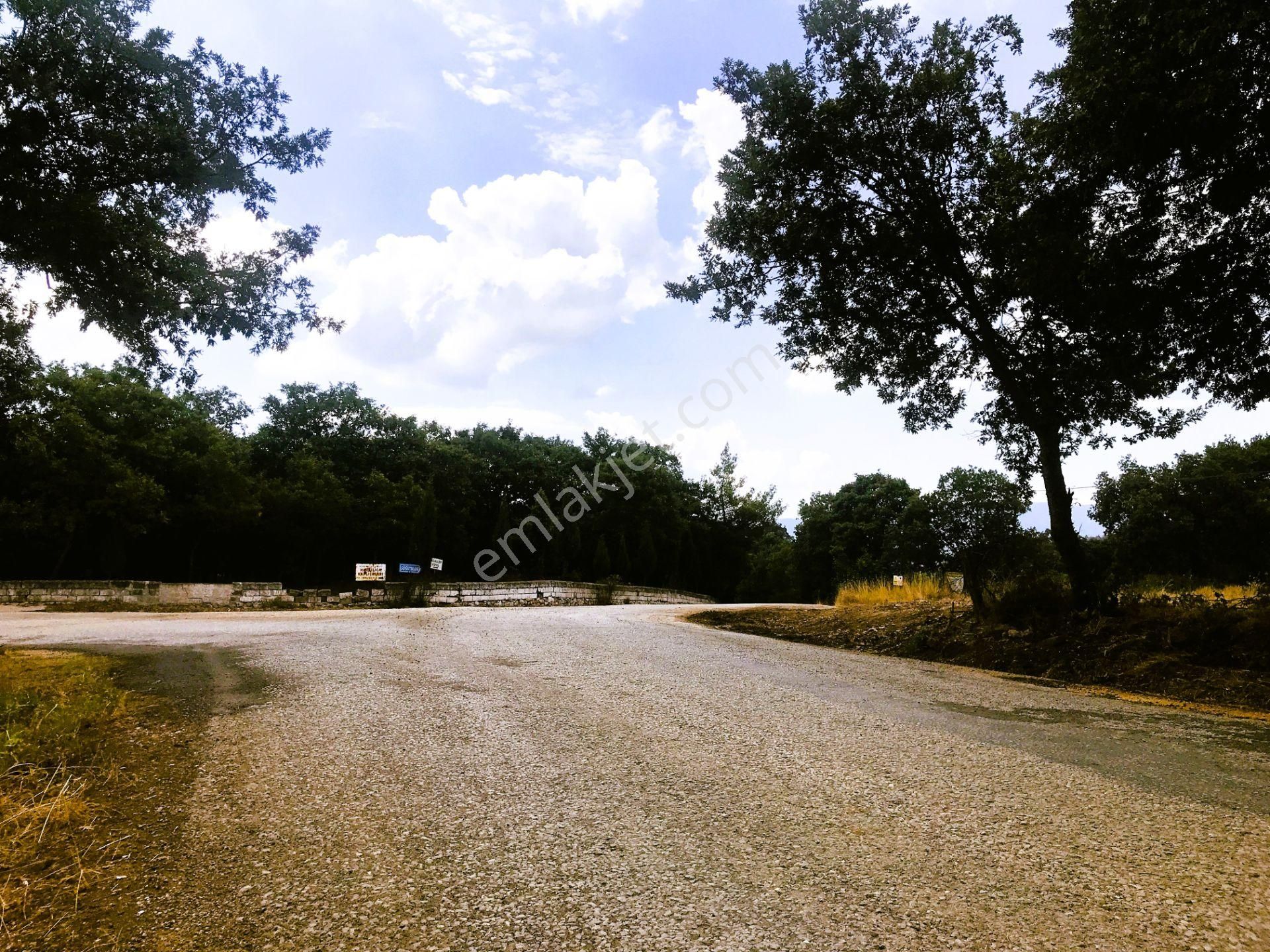 Acill Uygun Fiyata Arazi Asfalta Cephe Dörtyol Ağzı Çanakkale - Görsel 18