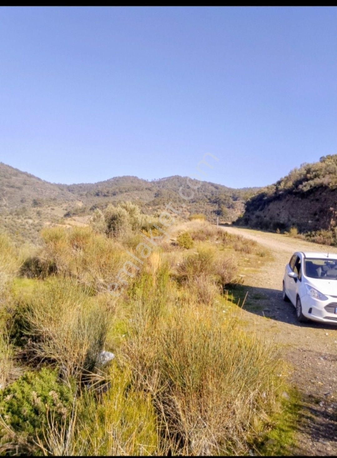 İzmir Bayındır Ergenli Tek Tapu Satışa Hazır Zeytinlik 2.047 M2 Köy_doğa_göl Manzaralı - Görsel 2