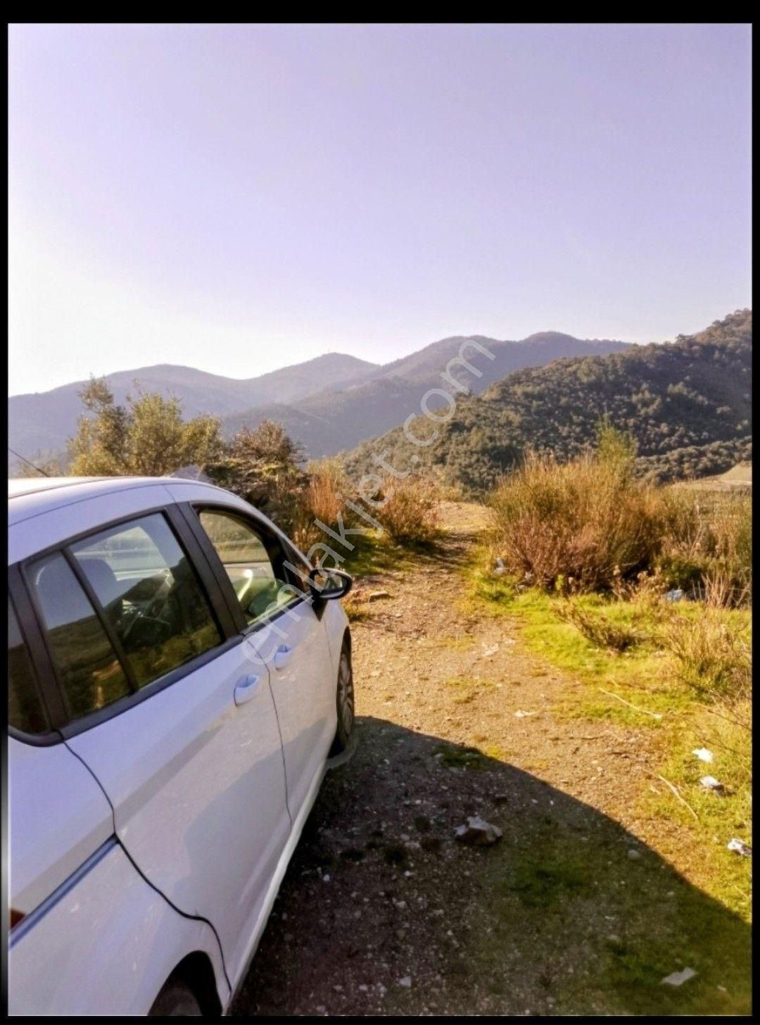 İzmir Bayındır Ergenli Tek Tapu Satışa Hazır Zeytinlik 2.047 M2 Köy_doğa_göl Manzaralı - Görsel 3