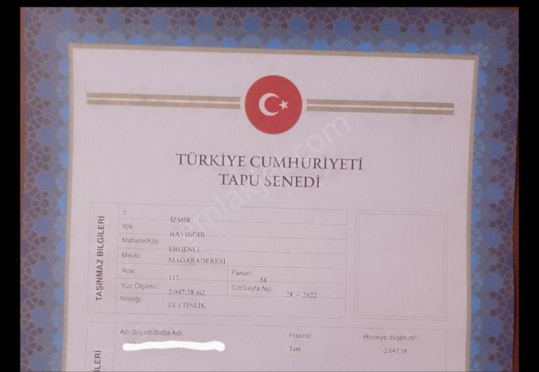 İzmir Bayındır Ergenli Tek Tapu Satışa Hazır Zeytinlik 2.047 M2 Köy_doğa_göl Manzaralı - Görsel 13