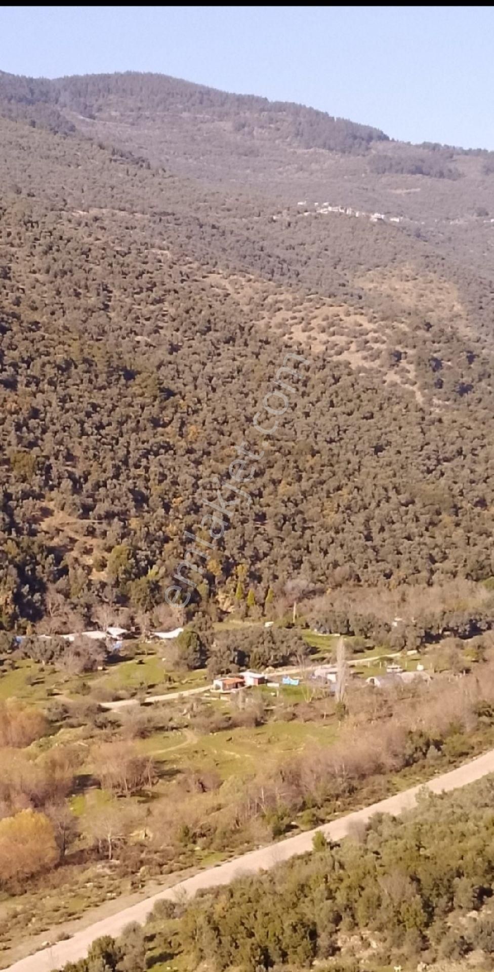 İzmir Bayındır Ergenli Tek Tapu Satışa Hazır Zeytinlik 2.047 M2 Köy_doğa_göl Manzaralı - Görsel 8