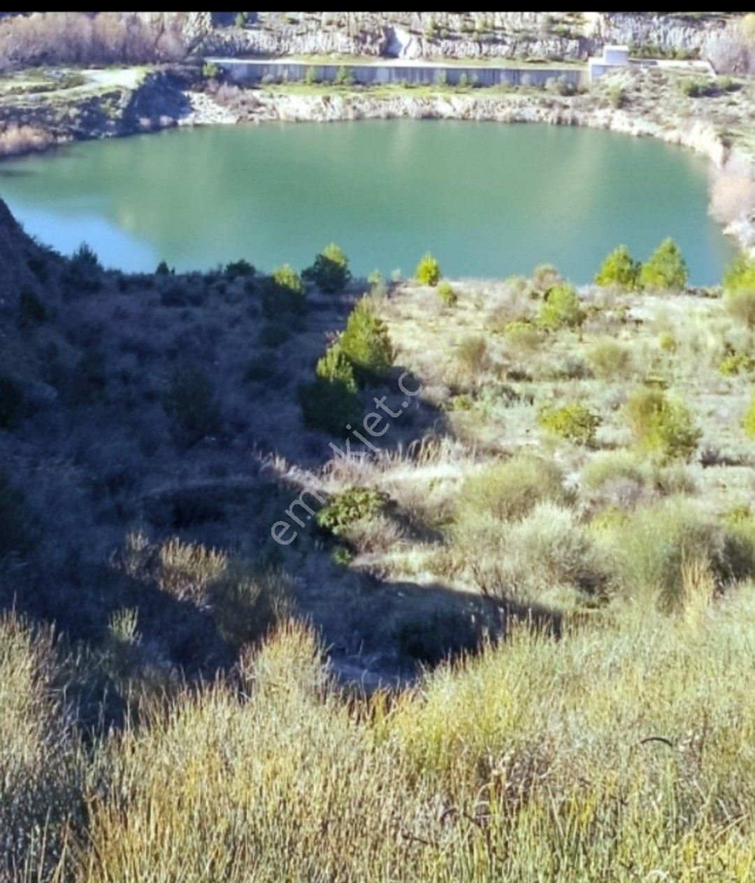 İzmir Bayındır Ergenli Tek Tapu Satışa Hazır Zeytinlik 2.047 M2 Köy_doğa_göl Manzaralı - Görsel 10