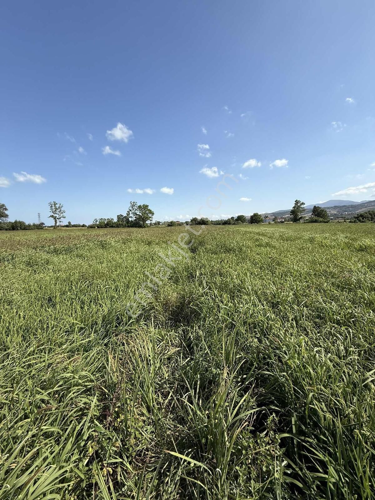 Atakan Lay'dan Dereköy'de Fırsat Arsa - Görsel 3