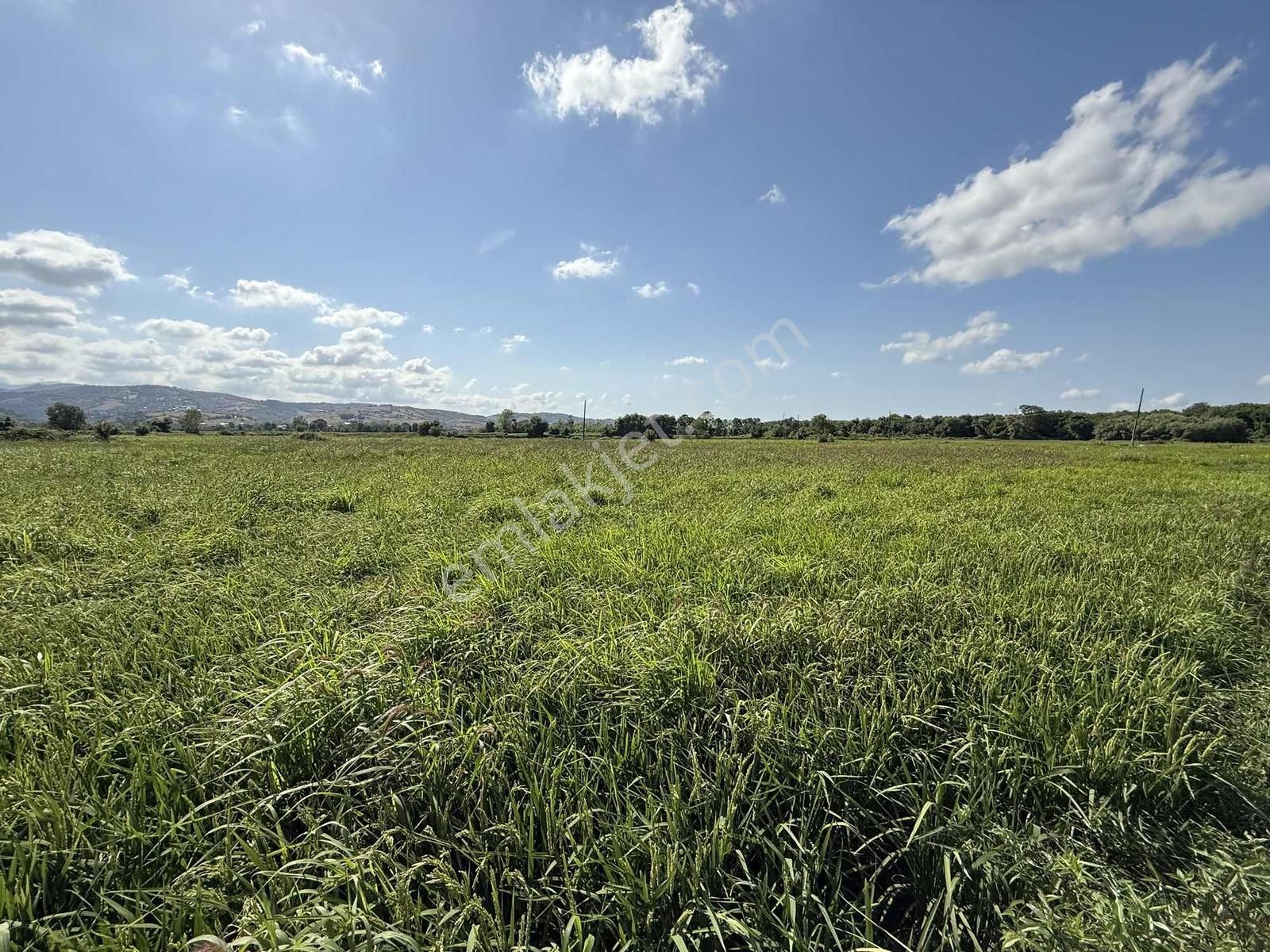 Atakan Lay'dan Dereköy'de Fırsat Arsa - Görsel 4