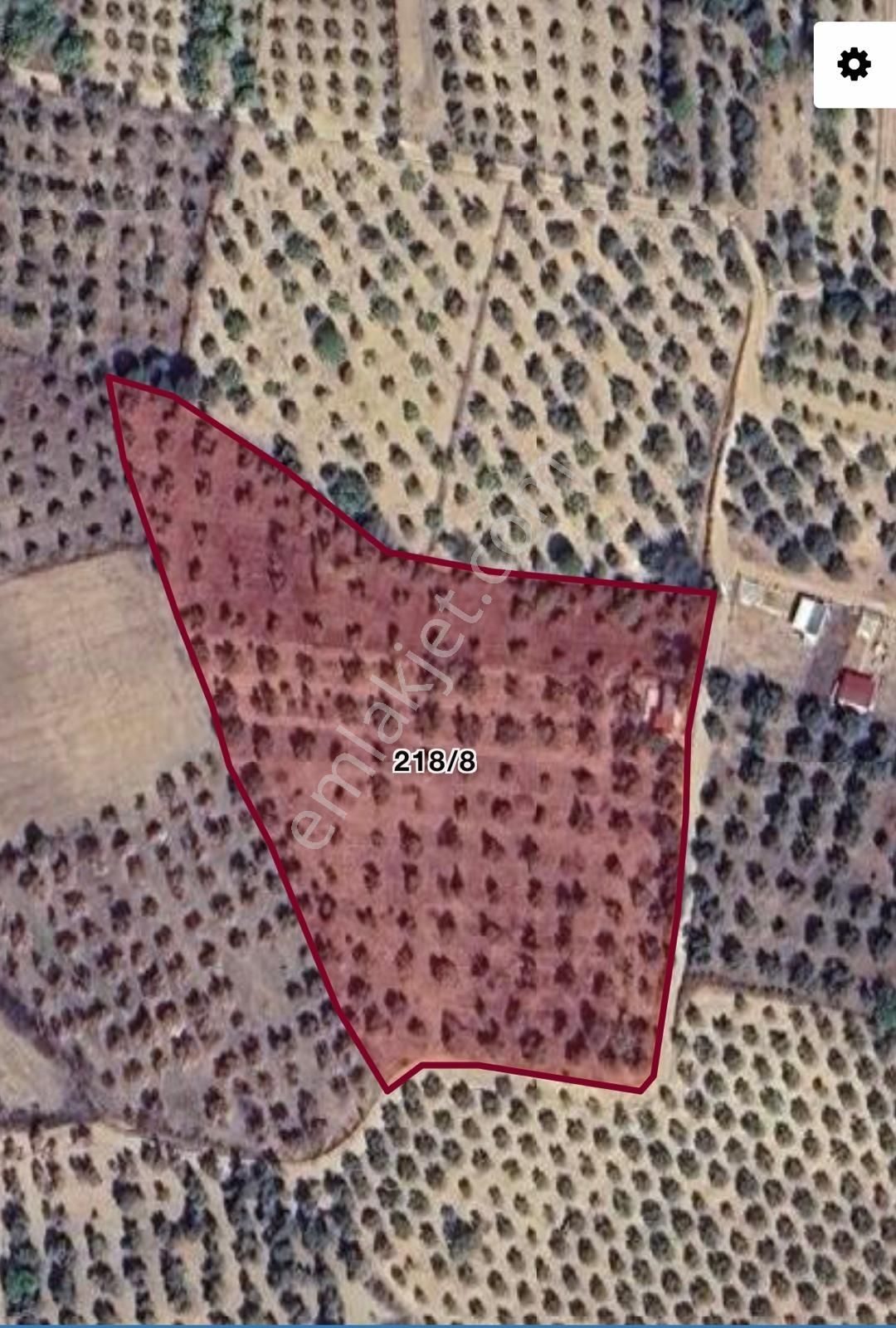 İzmir Torbalı Gmk Da Zeytinlik İçi Dolu Yatırım Zamanı 2116m2 - Görsel 13