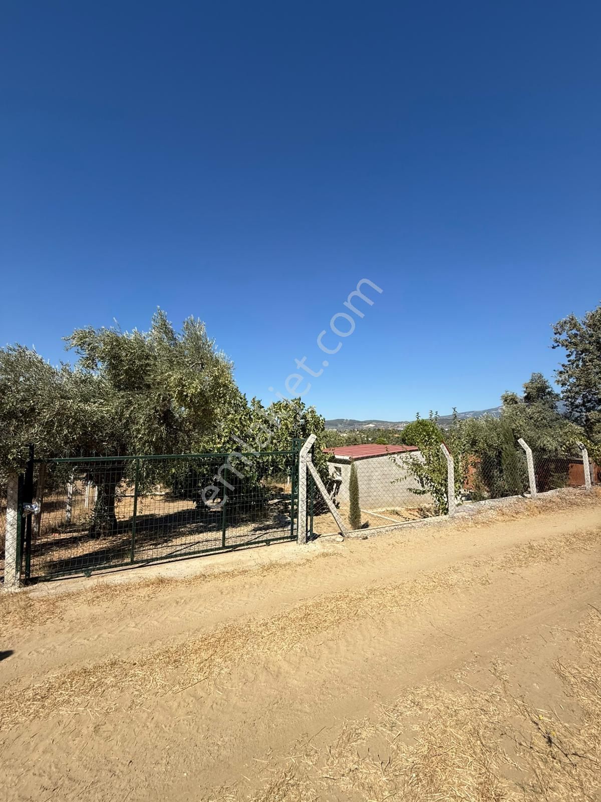 İzmir Torbalı Gmk Da Zeytinlik İçi Dolu Yatırım Zamanı 2116m2 - Görsel 7