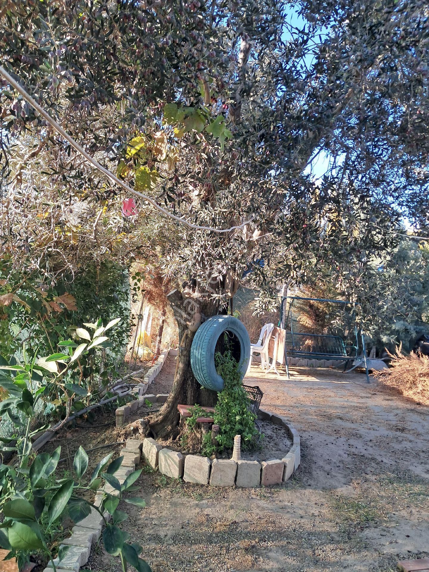 Balıkesir/edremit 255m2 Müstakil Bahçeli 2.5 İmarlı Ev - Görsel 2